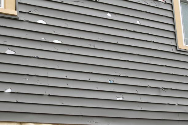 Best Hoarding Cleanup  in Vero Beach South, FL